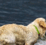 4541541.jpg - Primorye24.Ru