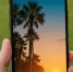 7c96884ba83deea63cceaad3744a798f7fef05c1.jpeg - Primorye24.Ru