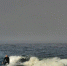 ellItwXH12o.jpg - Primorye24.Ru