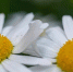 92f32fa216f4766fcb8ef727465692a3ed3d8bd1.jpeg - Primorye24.Ru