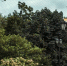 54165485462.jpg - Primorye24.Ru