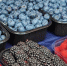 25e7fb344a05f93a2658c96e9fd5f610d42d7568.jpeg - Primorye24.Ru