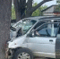 ab692ab2e0e7cbe47faa1331199690207d6f84a3.jpeg - Primorye24.Ru