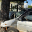 1cef7c22948c1f54bdb3e6c5d8f5834931c56c10.jpeg - Primorye24.Ru