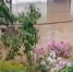 b918fd2761db2816e8fe476051bd22bb07edabaf.jpeg - Primorye24.Ru