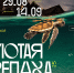Золотая черепаха.png - Администрация г. Владивостока