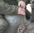 Еще одна категория граждан получит статус ветерана боевых действий и льготы - ГТРК Владивосток