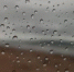 dc0a8816e9dd9c09fd62d3e961e7b517b71c4388.jpeg - Primorye24.Ru