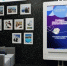 thumb_548528_news_xxxl.jpeg - Primorye24.Ru