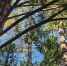 a7bed9e4f72c4cc9880a23c589ad5ae6bdf2ce10.jpeg - Primorye24.Ru