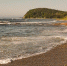 f1633c4733bef279485eb2d5f2988d62571af26f.jpeg - Primorye24.Ru