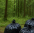 11734e6ea657719fe3a3a5fd73808264d0db5ecd.jpeg - Primorye24.Ru