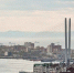 729f9bef4bc59d032f57bb2e8d94f9576d645445.jpeg - Primorye24.Ru