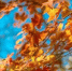 37b784d4927e8e727b4fae43bb22a0eff63eeb46.jpeg - Primorye24.Ru