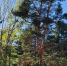 ccb1a7adbb659772f3581e6491baf36c82f14e7f.jpeg - Primorye24.Ru