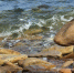441cfb0c937e7585ed7cf79b1a0bd6668b3ab874.jpeg - Primorye24.Ru