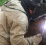 6c5aad85af9778ea18bb5e642e3d3d6b49034267.jpeg - Primorye24.Ru