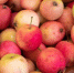 270aa41d02d1a4a8842a85a9d587a3364a72fcaa.jpeg - Primorye24.Ru