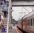 b72db12934db2291a7ed4009d3f99dfbb4a9d7de.jpeg - Primorye24.Ru