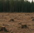 0f53f96666e635a559e59a29ad3e771d746fa6b7.jpeg - Primorye24.Ru