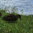 20230729_130910-01.jpg - Primorye24.Ru
