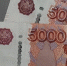 5020bc20e3431db0533092dc46b55aacb9d03694.jpeg - Primorye24.Ru