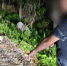 0dab509cd96462f1323a5ece34176d3367e8ec45.jpeg - Primorye24.Ru