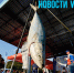 119 кг лакедры и скоростная ловля с берега: Токаревская кошка приняла сразу два масштабных рыболовных соревнования - NewsVl.Ru