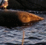 c12197f79d71c09c9b4c7b9ec80e3bcdcd0eccfd.jpeg - Primorye24.Ru