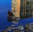 a26a561b8e12ca7b919a091e774e9dc67c1fadc9.jpeg - Primorye24.Ru