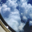 c80218c090e2d7182ea2d1f4dbdda487142f209b.jpeg - Primorye24.Ru