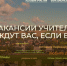 По поручению Президента РФ в программу «Земский учитель» могут внести изменения - ВДЦ Океан