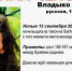 Волонтеры, разыскивающие пропавшую в Таиланде Эрику Владыко, просят выйти на связь ее мужа - Дениса - ГТРК Владивосток