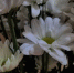 75bd82028b4043ce5b0d14317aa4b8e3317ada19.jpeg - Primorye24.Ru