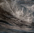 ee22afa476a74d54e48ec3efc667af1edc302dcc.jpeg - Primorye24.Ru