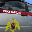 В Приморье сотрудники вневедомственной охраны за неделю выявили 28 человек, находящихся в розыске - Росгвардия