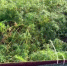 da1b1ac13ad83b2cfeb9ca14eeafd75629179a87.jpeg - Primorye24.Ru