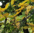 1000097551-01.jpg - Primorye24.Ru