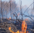 a802e9a7f5dde8f906dc7b7b17c4dac97a8eaf49.jpeg - Primorye24.Ru