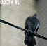 Воскресенье во Владивостоке будет холодным и ветреным - NewsVl.Ru
