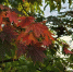 67f92c7f4e27c0a445b52fee5fa1837f5898ac11.jpeg - Primorye24.Ru
