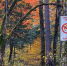cb42f905787aac398793bcff9f6c0b5f210dd9f6.jpeg - Primorye24.Ru