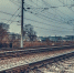ff3a3c9d43fe8936e772a45b8e34c69357008341.jpeg - Primorye24.Ru