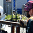 thumb_551097_news_xxxl.jpg - Primorye24.Ru