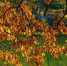 869a4d4b825ee77320475aea879b9158cc846e0d.jpeg - Primorye24.Ru