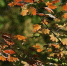 4afcedaa787c33c3d618716a60207448371d98ef.jpeg - Primorye24.Ru