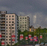 e86a4b877a0169dea5abd3ec6f26480d6398fd63.jpeg - Primorye24.Ru