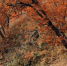 4f043228e52018c59e087af2264ffce83ea245c7.jpeg - Primorye24.Ru