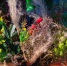 a81b53c54de666995267b2cbe876ef76c9a353fa.jpeg - Primorye24.Ru