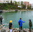 «Колобки» для озера: жители Сафонова запустили в водоём бактерии для его очистки (ФОТО; ВИДЕО) - NewsVl.Ru